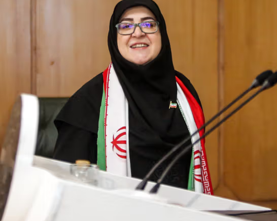 الحكومة الإيرانية حول "الإنترنت الطبقي": يجب توفير إمكانيات خاصة لمن لديهم احتياجات خاصة