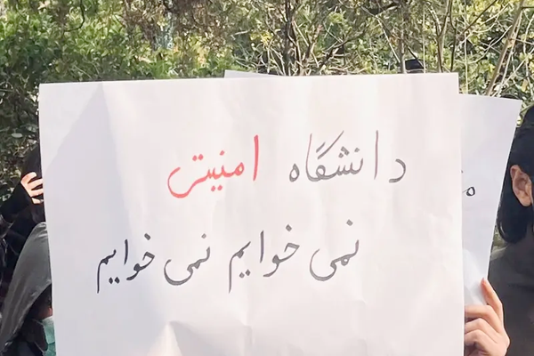 مهدی طبایی، دانشجوی دانشگاه یزد، بهدلیل پاره کردن پوستر حمایت از حمله ۷ اکتبر اخراج شد