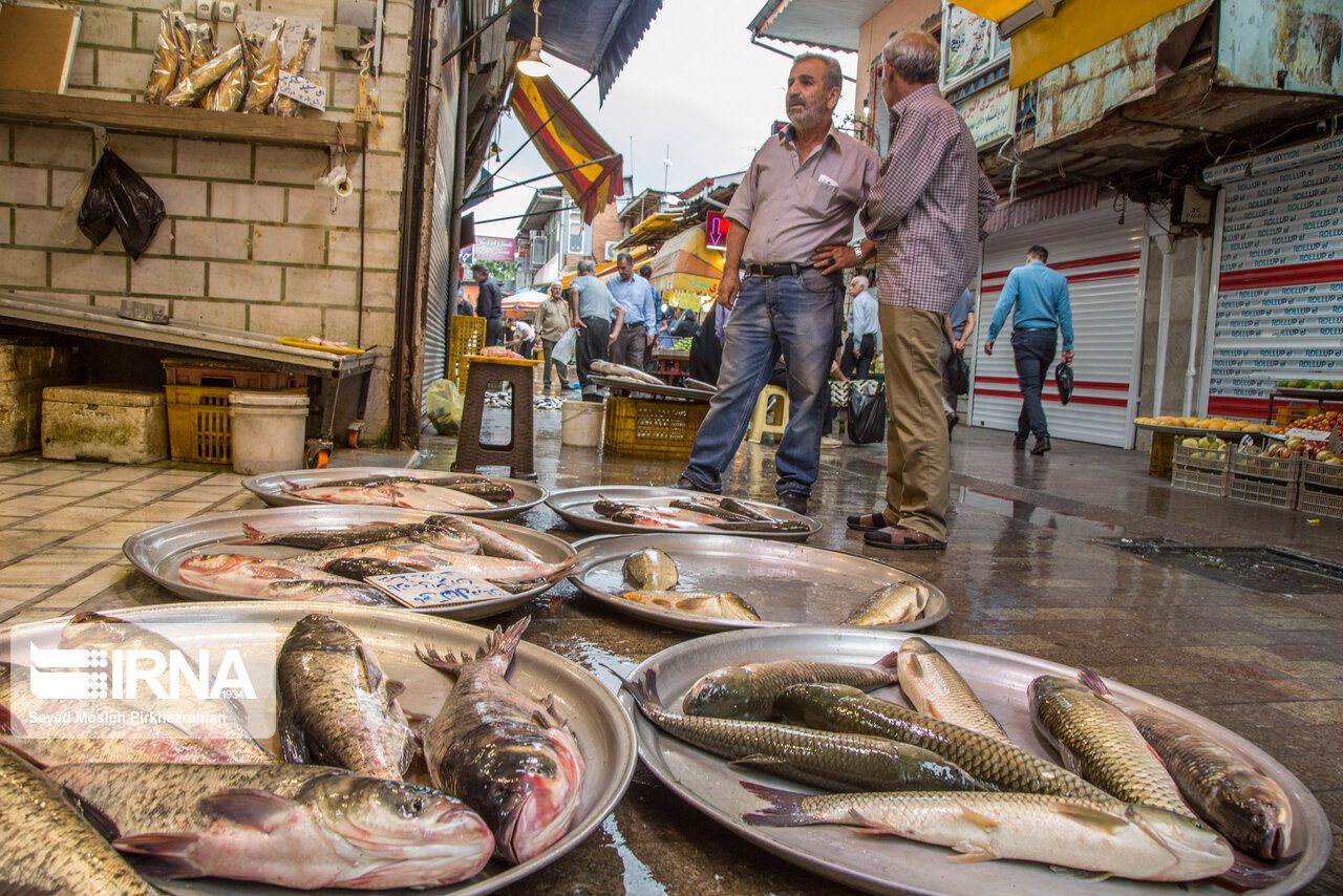 Rasht’s fish market 