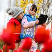 Could Iran be building a Chinese-style internet system?