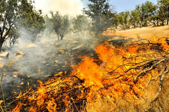 رییس اداره منابع طبیعی مریوان: آتشسوزی به ۲۰۰ هکتار از جنگلهای مناطق مرزی خسارت زده است