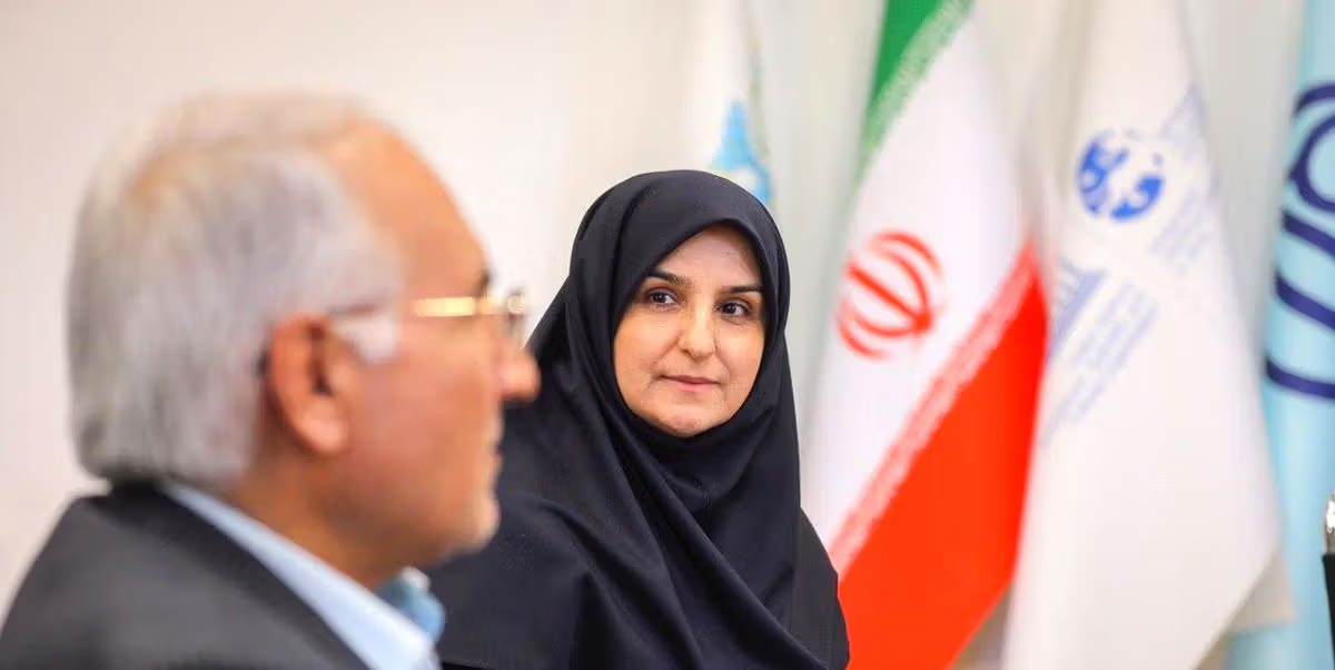 Afsaneh Nadipour, UN Human Rights Council Advisory Committee member 