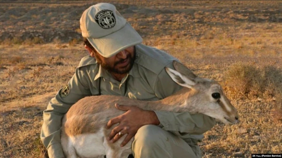 فرمانده یگان حفاظت محیط زیست: حکم اعدام برومند نجفی محیطبان کرمانشاهی متوقف شد