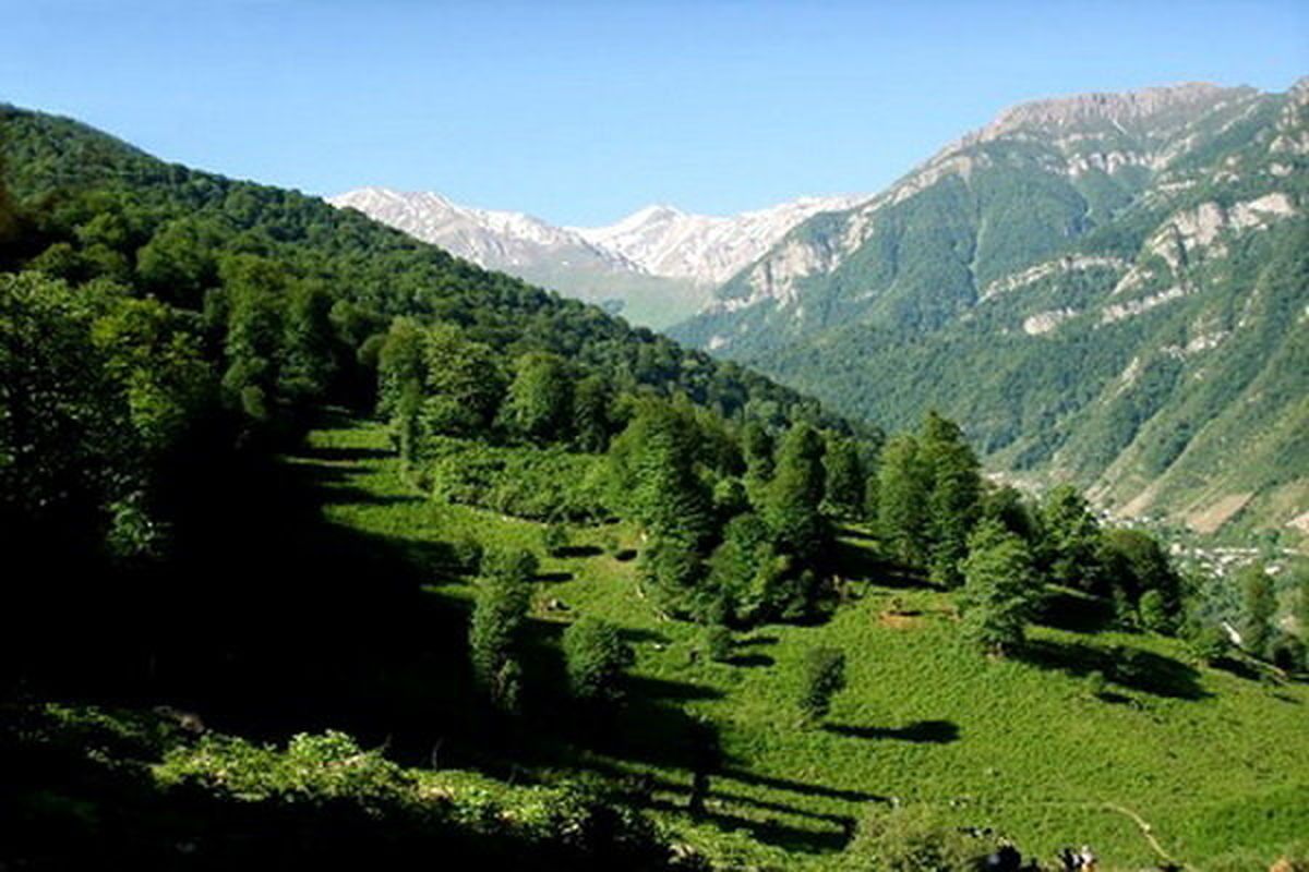 جنگل‌های زاگرس در ۱۱ استان کشور گسترده شدند و حدود ۱۰ میلیون نفر از جمعیت کشور در زیست‌بوم جنگل‌های زاگرس زندگی می‌کنند. ۴۰ درصد آب شیرین کشور در این جنگل‌ها تولید می‌شود.