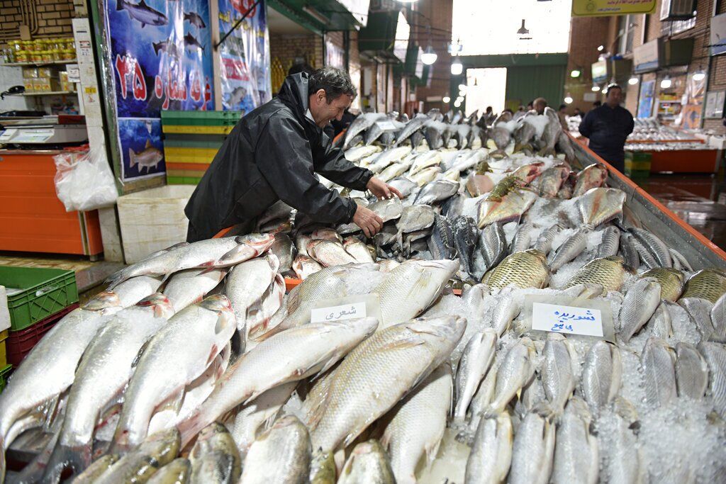 کاهش تقاضا برای گوشت ماهی به دلیل کاهش قدرت خرید مردم در ایران