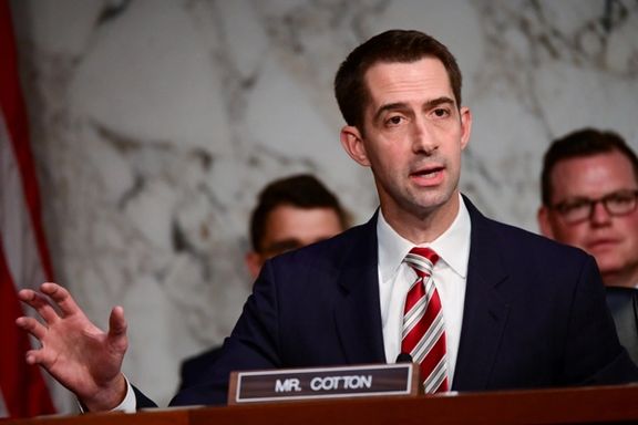 Senator Tom Cotton (R-AR) during a hearing on Capitol Hill in Washington, July 16, 2019