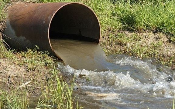 درویش، فعال محیط زیست: بخشی از مواد غذایی مردم را در مشهد با فاضلاب بیمارستان کشت کردند