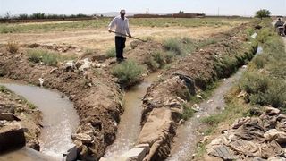 Iran’s thirst for agricultural expansion drains water reserves