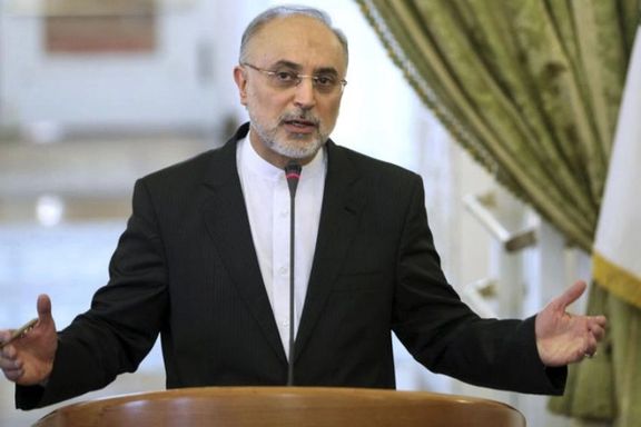 Former diplomat and Iran's ex-nuclear chief Ali-Akbar Salehi