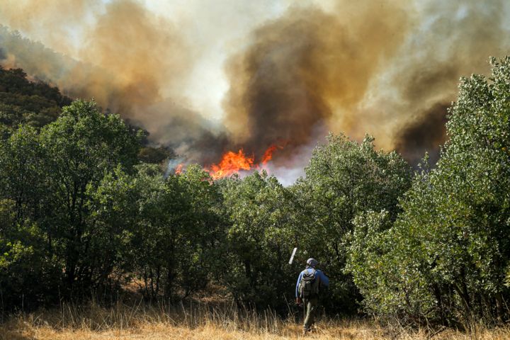 iran-forest-fire (file photo)