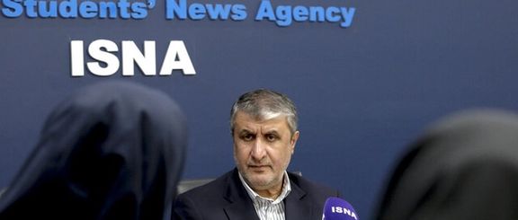 Iran's Nuclear Chief Reiterates Demand To Shelve IAEA Probe