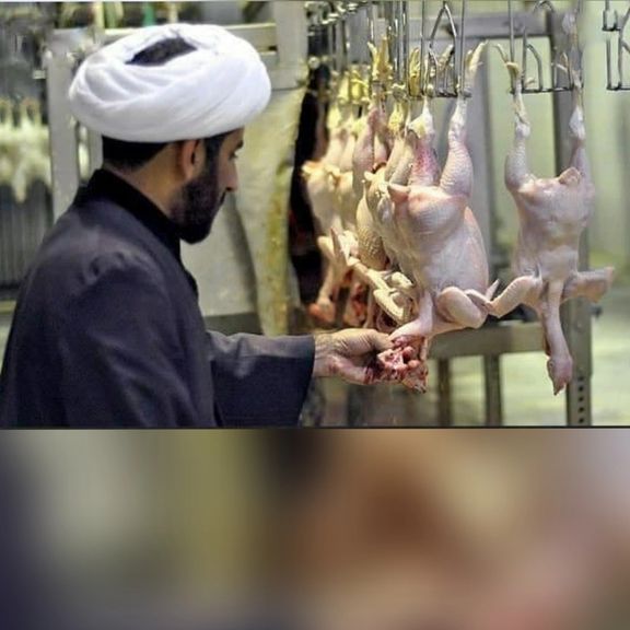 Khamenei's representative in the Ministry of Agriculture: The jurisprudential council of religious slaughter will be established inside and outside the country