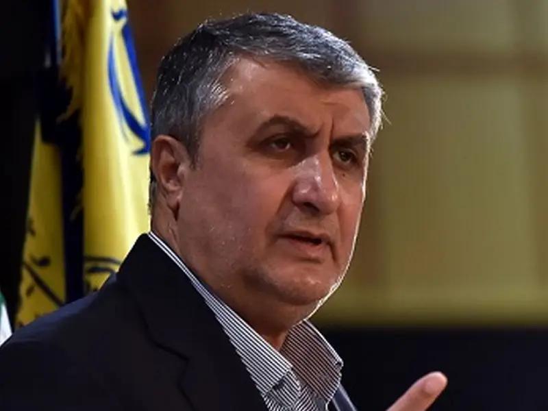 رئيس منظمة الطاقة الذرية الإيرانية: ليس للوكالة الدولية الحق في فرض المفتشين علينا