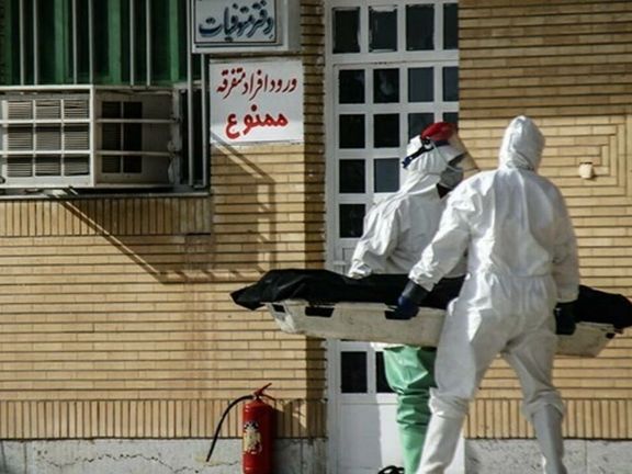 علیرضا ناجی: اعضای ستاد ملی مقابله با کرونا درباره آمار مرگ و میر دغدغه ندارند