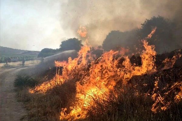 روزنامه شرق: یک داوطلب مردمی در هنگام مهار آتشسوزی منطقه بدیل جان باخت