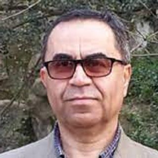 رضا علیجانی