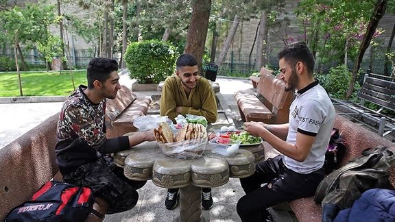 Young men having lunch in a Tehran city park.