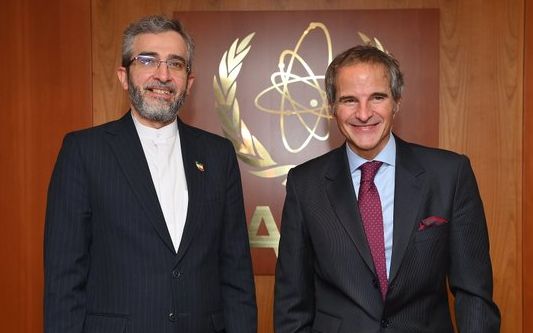 رافائل گروسی پس از دیدار با علی باقریکنی: درباره موضوعات فعالیت دوجانبه مذاکره کردیم