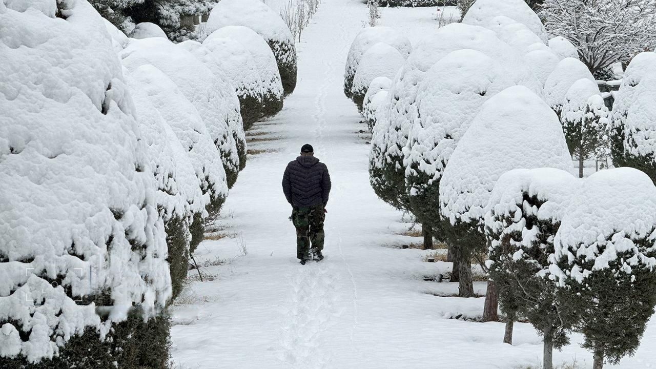 Iran after the crackdown: serenity on screens, grief on the streets