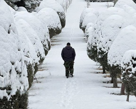 Iran after the crackdown: serenity on screens, grief on the streets