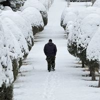 Iran after the crackdown: serenity on screens, grief on the streets