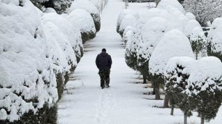 Iran after the crackdown: serenity on screens, grief on the streets