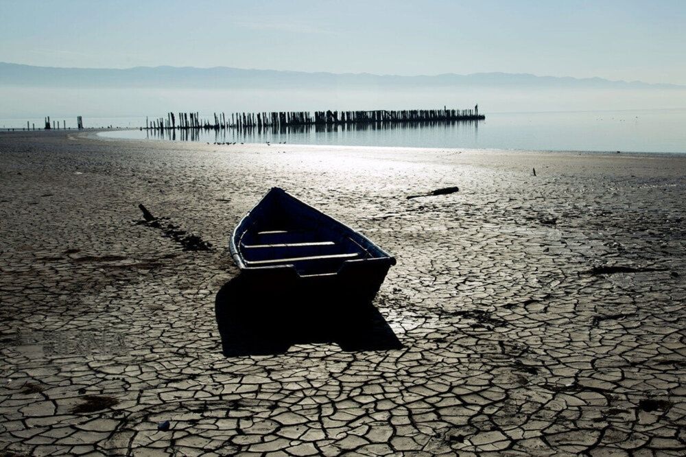 Only three to five years left to save Gorgan Gulf, watchdog warns