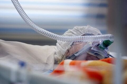 رییس دانشگاه علوم پزشکی گیلان: چهار نفر در رشت بهدلیل مسمومیت الکلی جان باختند