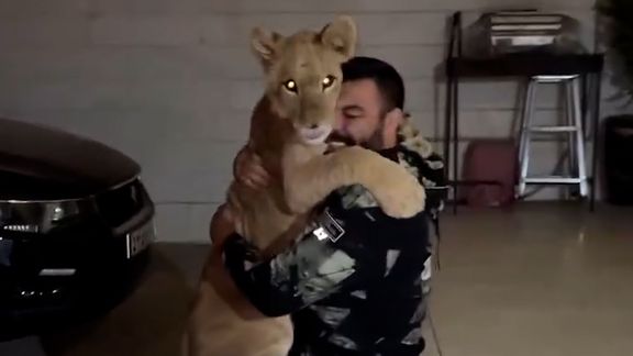 یگان حفاظت محیط زیست: برای علیاکبری به خاطر نگه داشتن شیر در خانه پرونده تشکیل میشود