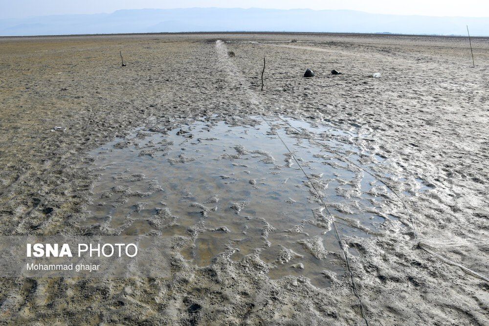 بیم و امیدها برای حفظ حیات تالاب میانکاله زیر سایه پروژه پتروشیمی 