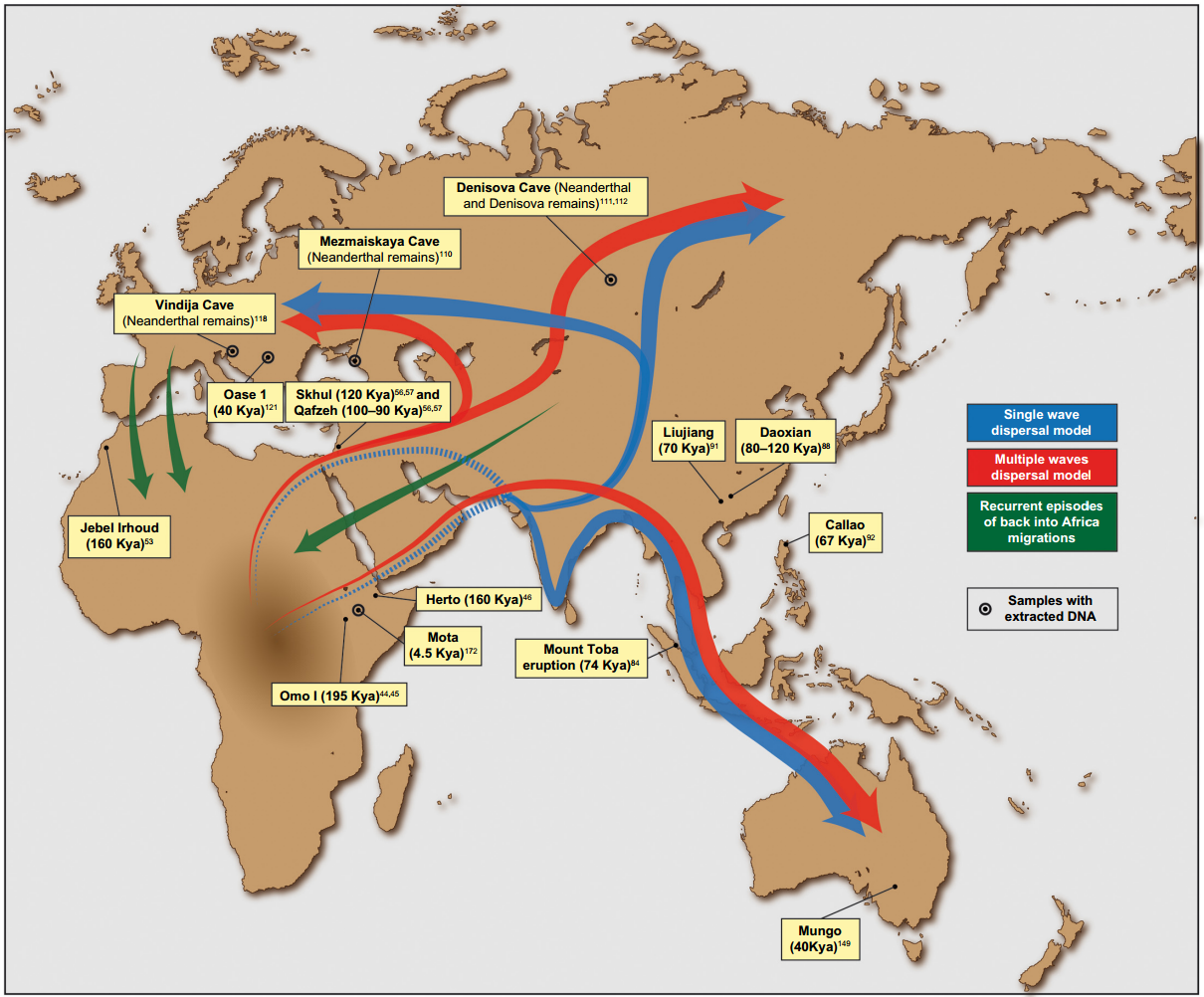 Putative migration waves out of Africa and location of some of the most relevant ancient human remains and archeological sites. 