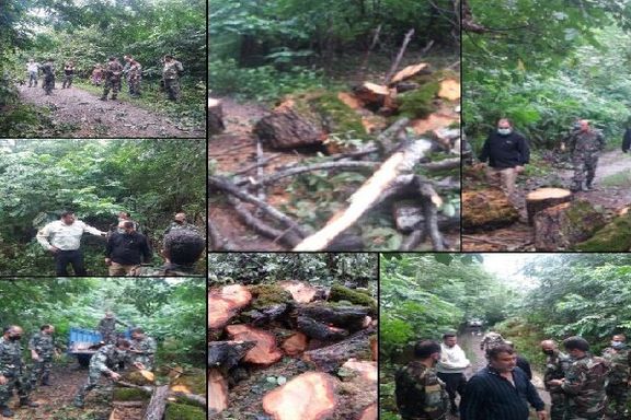 رییس منابع طبیعی فومن: قاچاقچیان سابقه دار چوب ماموران حفاظت منابع طبیعی را کتک زدند