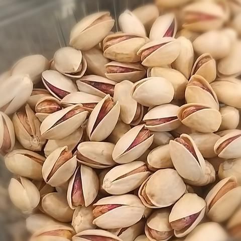 رییس اتحادیه آجیل و خشکبار تهران: پسته در بازار ایران به قیمت جهانی فروخته میشود