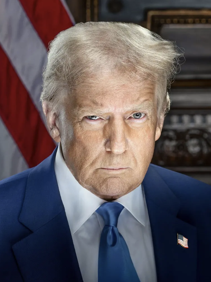 President-elect Donald Trump's new official portrait