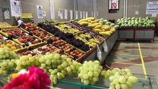 India, Russia, Others Reject Iran’s Fruit And Vegetables