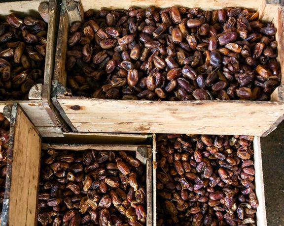 مرکز پژوهشهای مجلس: نفوذ صادرات ایران در خرما، فرش، زعفران و پسته کم شده است