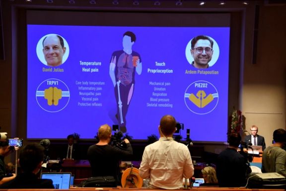 دو دانشمند آمریکایی برای کشف گیرندههای جدید دما و لامسه برنده جایزه نوبل پزشکی شدند