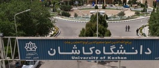 خودکشی استاد دانشگاه کاشان به دلیل مشکلات مالی؛ کانون صنفی: کارد به استخوان رسیده