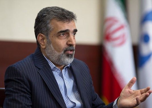 کمالوندی درباره ابراز نگرانی شدید گروسی از سایت‌های مشکوک ایران: شاید تحریف شده