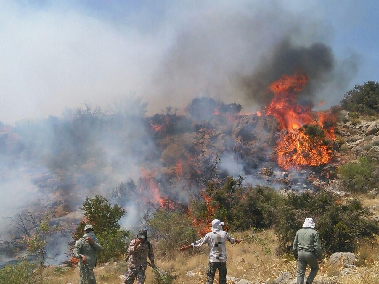 Wind and dry vegetation fuel forest fires in Iran’s Hyrcanian woodlands