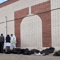 الگوی سرکوب جمهوریاسلامی در کشتار بزرگ دی ۱۴۰۴ و نسبت آن با سرکوب در دهه ۶۰