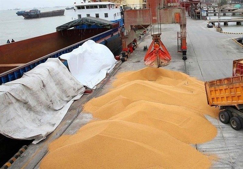 Iran says it has 4 million tons of wheat in strategic reserves