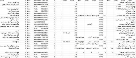 تصویر نمونه منتشر شده از اطلاعاتی که هکرها از بسیجیان اعزام شده به حج در اختیار دارند