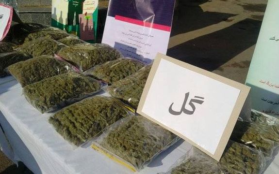 مدیرکل درمان ستاد مبارزه با موادمخدر: کودکان و نوجوانان گل و حشیش مصرف میکنند