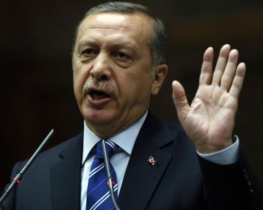 اردوغان کارزار مجازی کمک به کنترل آتشسوزی در ترکیه را به «گسترش ترور» متهم کرد