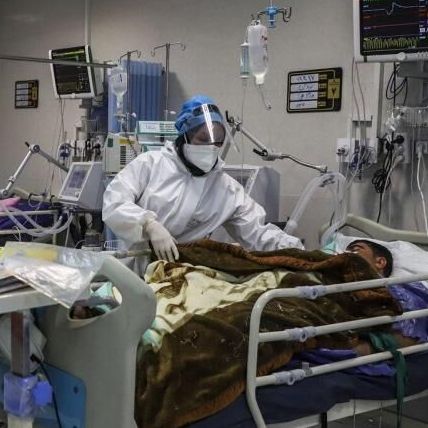 سازمان غذا و داروی ایران گرما، کرونا و توقف خط تولید یک شرکت را دلایل کمبود سرم اعلام کرد