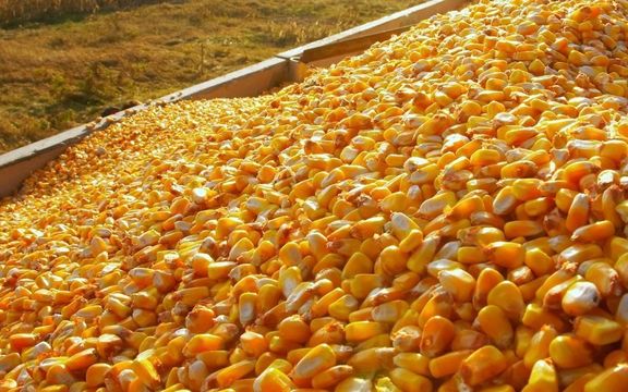 سفیر برزیل: آمادهایم در ازای محصولات پتروشیمی به ایران نهاده دامیبدهیم