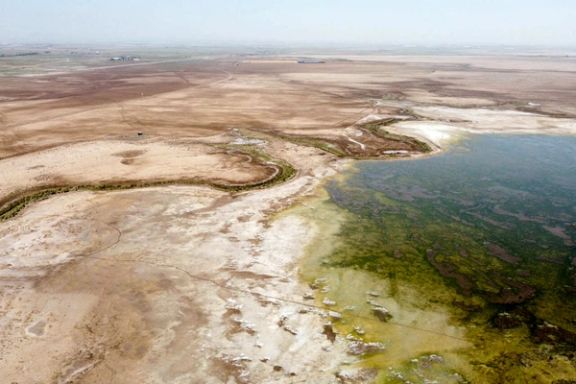 عضو هیئت علمی دانشگاه بهشتی: ۸۰ درصد تالابهای ایران خشک شدهاند