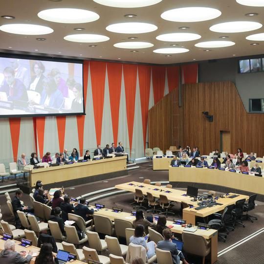 نماینده فرانسه در سازمان ملل: آمار اعدام اقلیتهای قومی و جنسیتی در ایران باورکردنی نیست