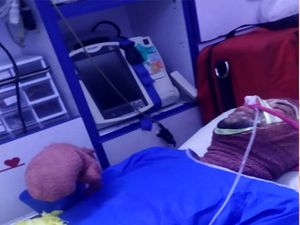 بر اثر آتشسوزی در آزمایشگاه پردیس ابوریحان دانشگاه تهران، دو نفر دچار سوختگی شدند